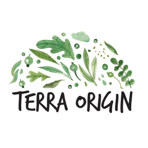 Logo for Terra Origin