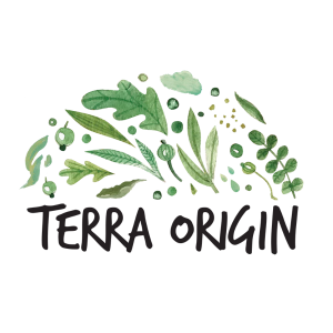 Terra Origin